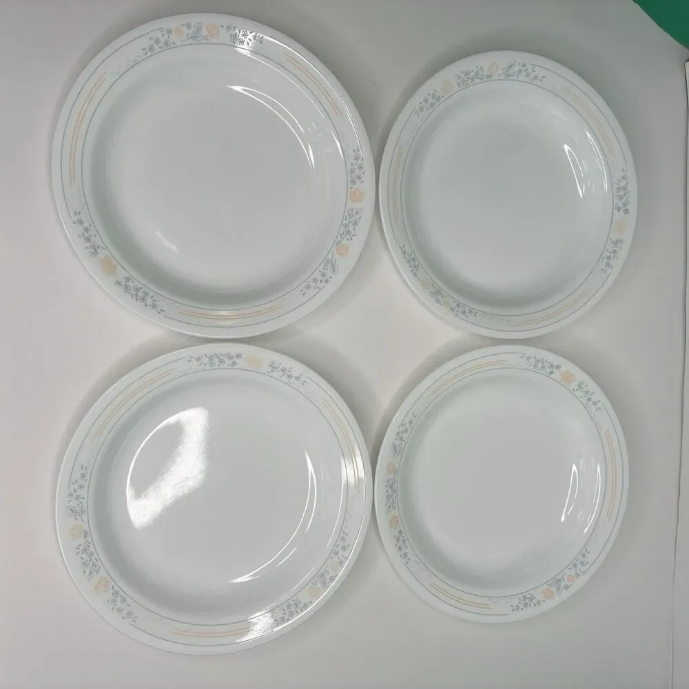 Corelle Apricot Grove Set of 4 Flat Rimmed Shallow Soup Salad Pasta Bowls 8.5